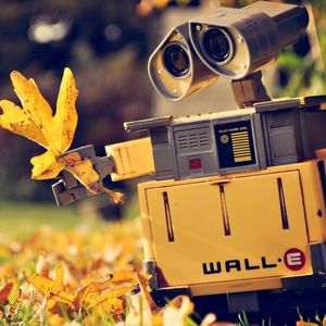 Meet your Posher, Nathasha